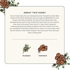 Cedarwood Eucalyptus - Sole~Pourri Shoe Deodorizer